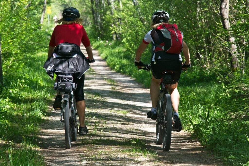 Zwei Personen radeln auf einem Waldweg.