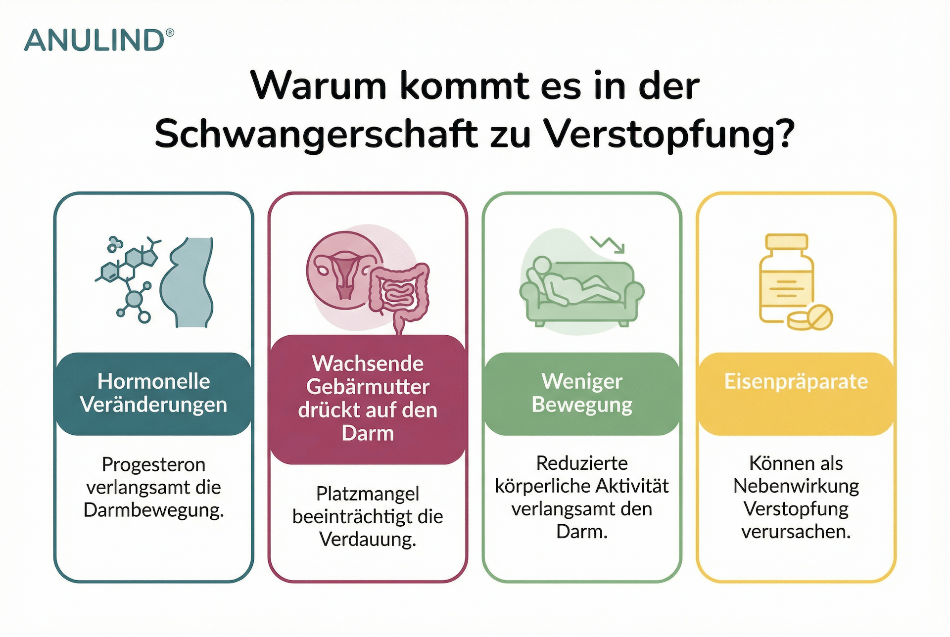 Infografik Warum es zur Verstopfung in der Schwangerschaft kommt