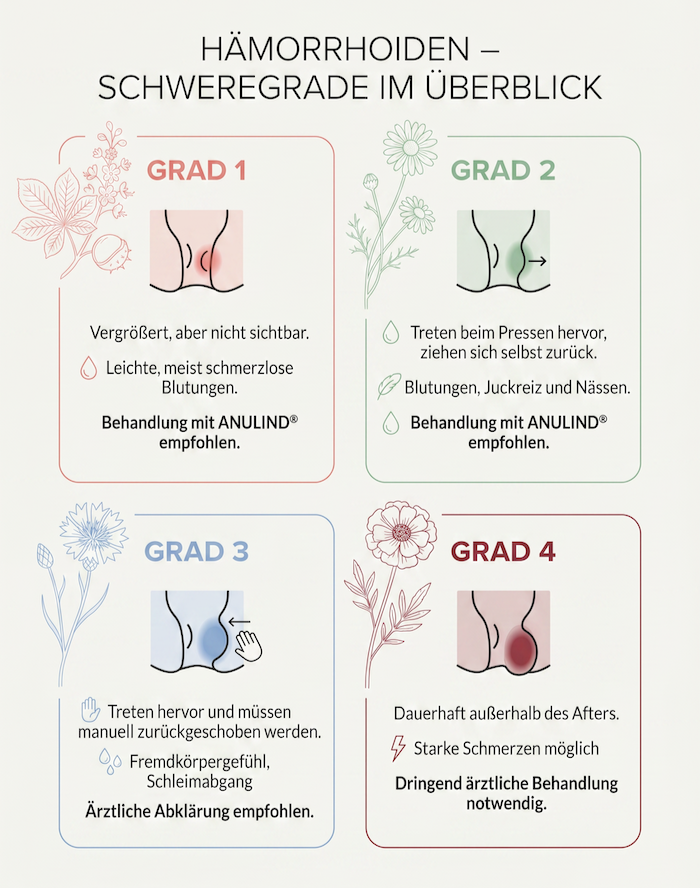 Infografik Schweregrade Hämorrhoiden