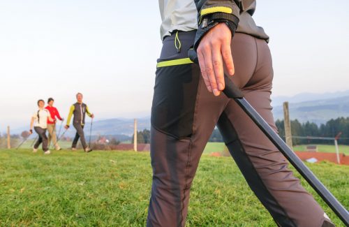Personen beim Nordic Walking auf einer Wiese mit Stöcken im Freien.